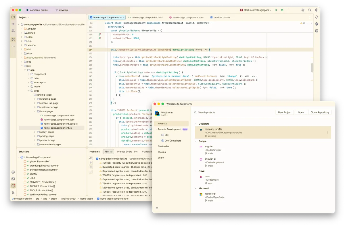 Salda theme in a JetBrains IDE